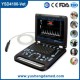 Ysd4100-Vet Veterinary Color Dopler Ultrasound Machine