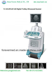 Full Digital Trolley Ultrasound Scanner