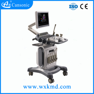 Cheap Hand Good Quality Ultrasound Scanner